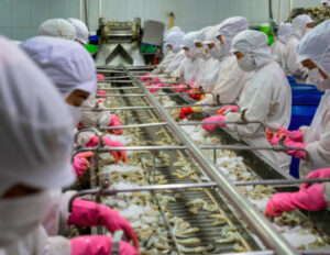 Agriculture, Fishery, Processed Foods, assembly line